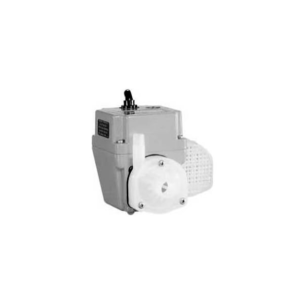 Little Giant 502286 2E-38NT Small Submersible Pump - Dual Purpose- 115V- 300 GPH At 1' 502286 - main